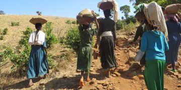 Armed conflict, community-based cash transfers, and social cohesion: Evidence from a randomized intervention in Ethiopia