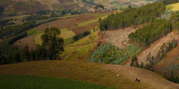 Locus of control, climate change adaptation and perception: Evidence from rural Ethiopia