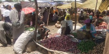 Do ultra-poor graduation programs build women’s resilience to weather shocks? Evidence from rural Ethiopia