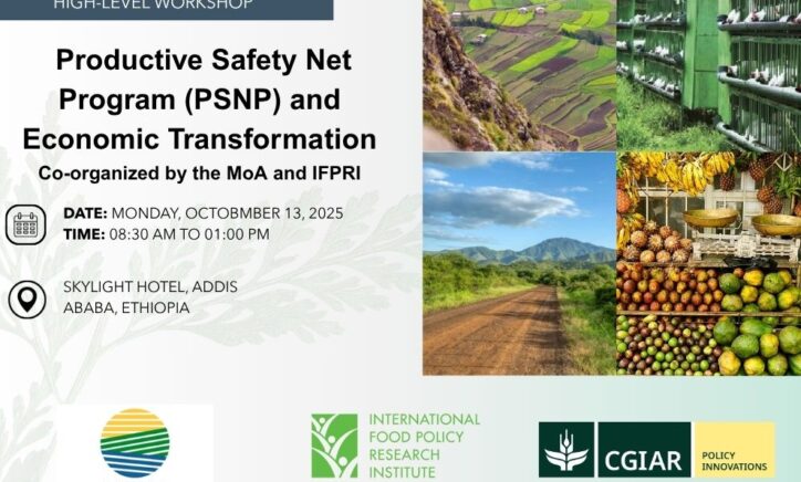 High-Level Workshop on Productive Safety Net Program (PSNP) and Economic Transformation