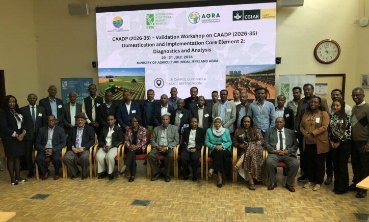 alidation Workshop on CAADP (2026–2035) Domestication and Implementation – Core Element 2: Diagnostics and Analysis